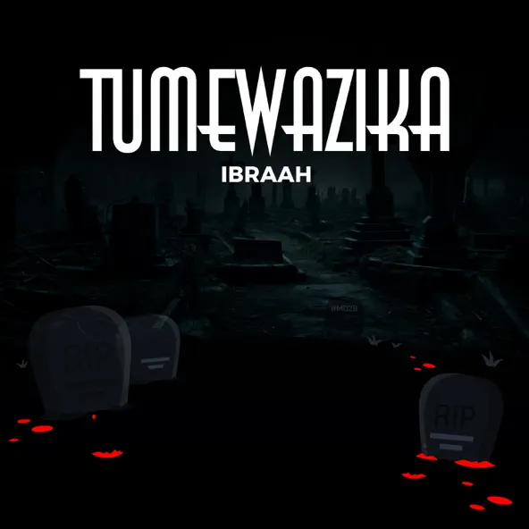 tumewazika by ibraah