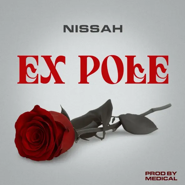 ex pole by nissah