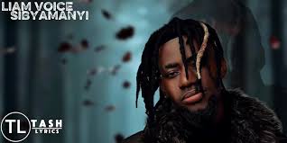 sibyamanyi by liam voice